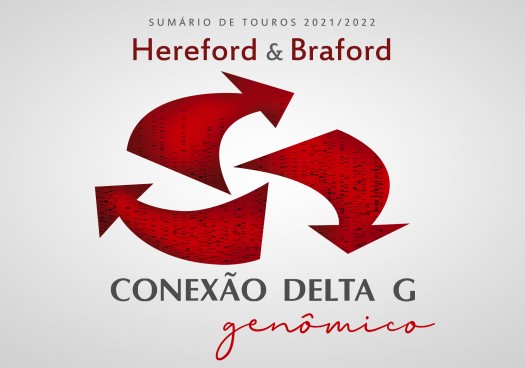 Sumário de Touros Hereford e Braford 2021